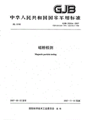 GJB 2028A-2007  磁粉檢測