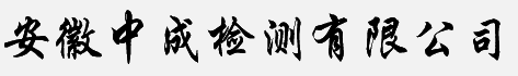 安徽中成檢測有限公司