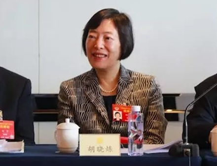 胡曉煉：放開市場(chǎng)競(jìng)爭(zhēng)促進(jìn)船舶工業(yè)高質(zhì)量發(fā)展